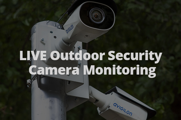 Avigilon Security Cameras Mounted on Outdoor Pole