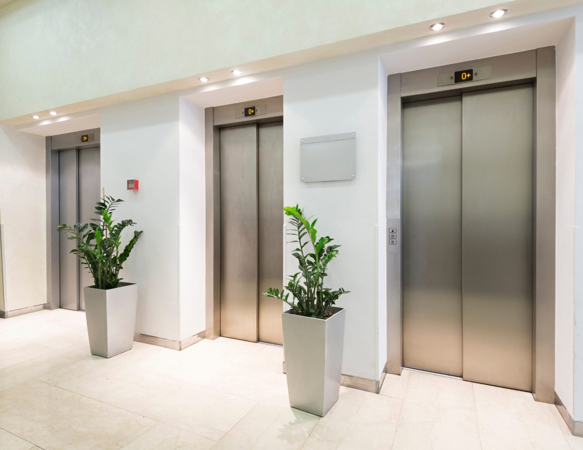 three elevators with plants